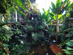 -昆明植物园