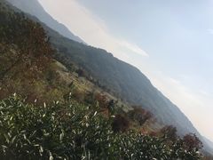 -塔川景区