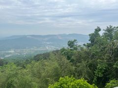 -冶父山国家森林公园