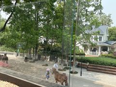 -J Create城市露营咖啡·简餐·宠物(上海动物园店)