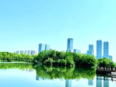 -艾溪湖湿地公园