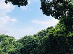-月亮湾公园