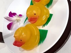 -金辉煌酒店·金龙厅