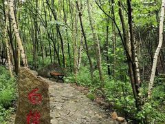 -洛阳白云山景区