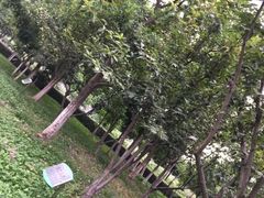 -白塘生态植物园