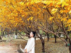 -长白岛森林公园