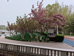 -裕华世纪公园