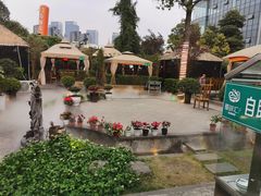 -二荆条·蜀鲜汇城市森林火锅