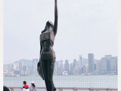 -星光大道