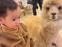 -Blue Concept Cafe&Farm·關於藍