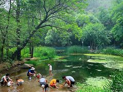 -白水寺森林公园