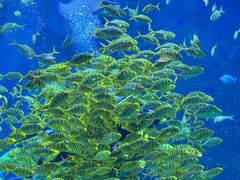 -威海华夏城景区