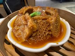 -点都德·毕德寮