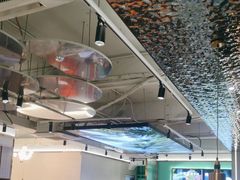 -探窝·竹笙椰子鸡(杨箕店)