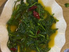 -老成渝川菜馆(麦溪路店)