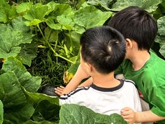 -小风车金桥丽都幼儿园(金桥店)