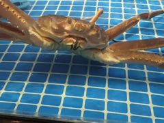 -和和小厨