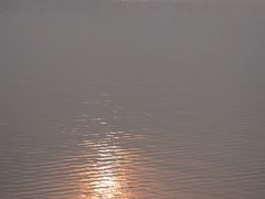 -丁香湖公园