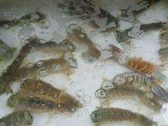 -拉威海鲜市场