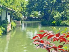 -西溪国家湿地公园