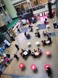 -首都医科大学附属北京儿童医院