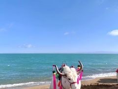 -青海湖国家重点风景名胜区