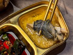 -Darling Queen·Mini·Live·House