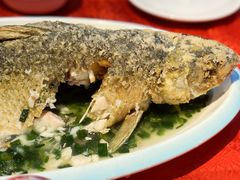 -粤北餐馆