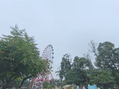 -南湖梦幻岛