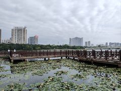 -南宁南湖公园