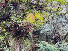 -藏龙百瀑风景区