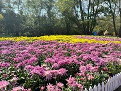 -沈阳植物园