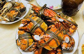 Miss Crab Freshwater Crab