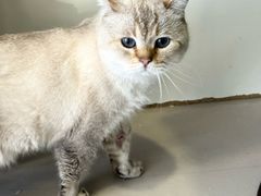 -平行世界·猫咖(首经贸店)
