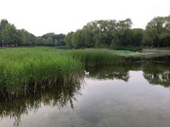 -望湖公园