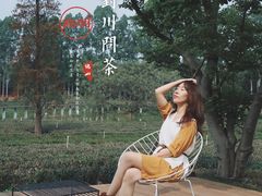 -美的鹭湖森林度假区
