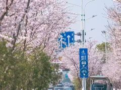 -百年尹氏汤包(湖南路狮子桥店)