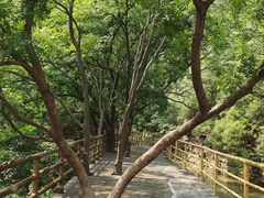 -红旗渠风景区