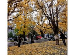 -四川大学(华西校区)