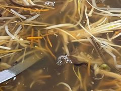 -佛有缘素食馆·荔湾老字号(陈家祠首店)