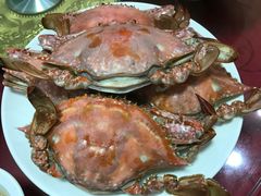 大红膏蟹-文仔海鲜馆