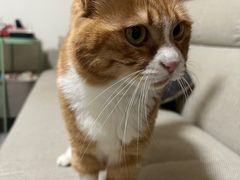 -宠颐生中康贝怡动物医院