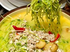 -绿野仙踪·印象(香樟名都店)