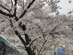 -南浦大桥长途旅游客运站