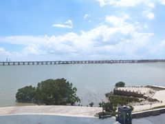 -宝安西湾红树林湿地公园