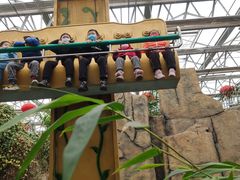 -南宫五洲植物乐园