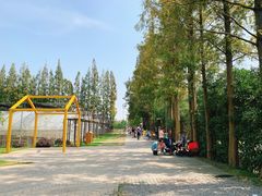 -前小桔亲子创意农场·草莓采摘·露营烧烤