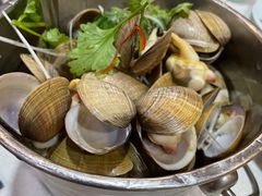 一桶黄蚬-渔娘渔家丹东海鲜(东直门店)