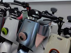-绿源电动车(普陀专卖店)