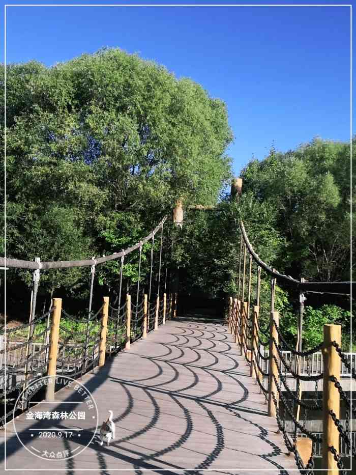 金海湾森林公园-"为业主所办的,环境倒是不错,随便走走.